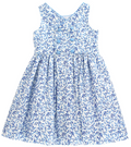Summer Breeze Floral Dress