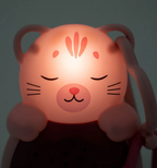 Sweet Dreamz- On the Go- Cat