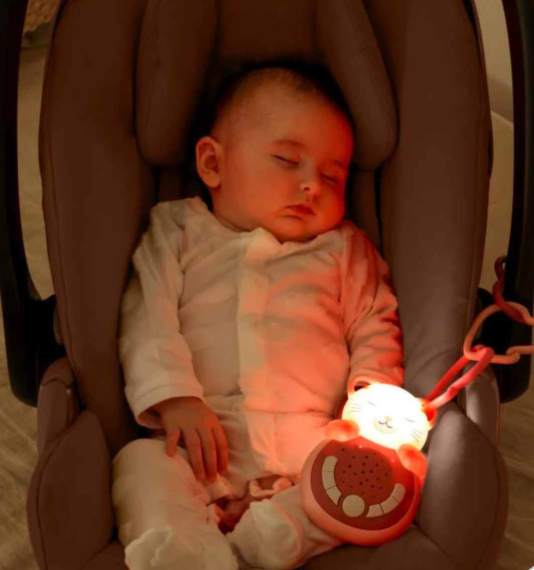 Sweet Dreamz- On the Go- Cat