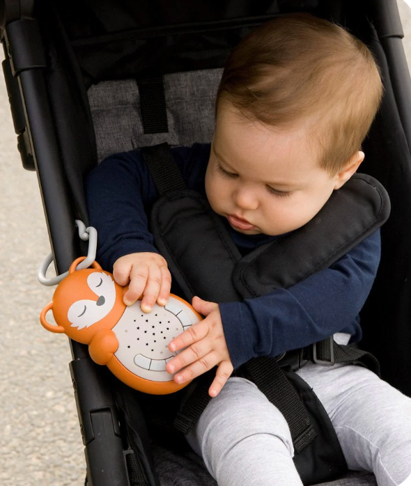 Sweet Dreamz- On the Go- Fox