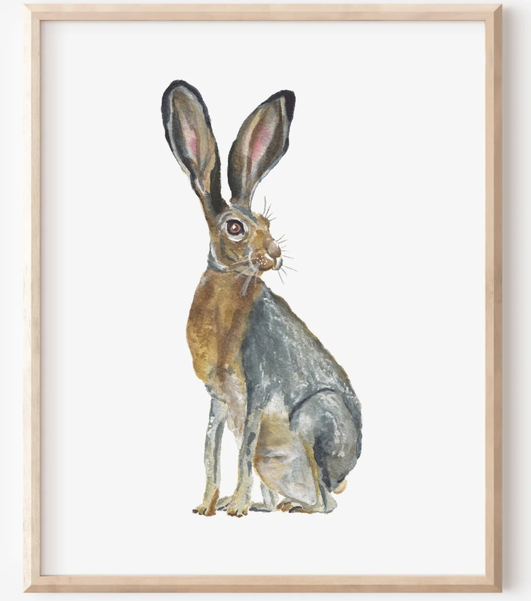 Jack Rabbit Art Print 8x10