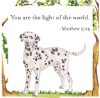 Kids Scripture Cards
