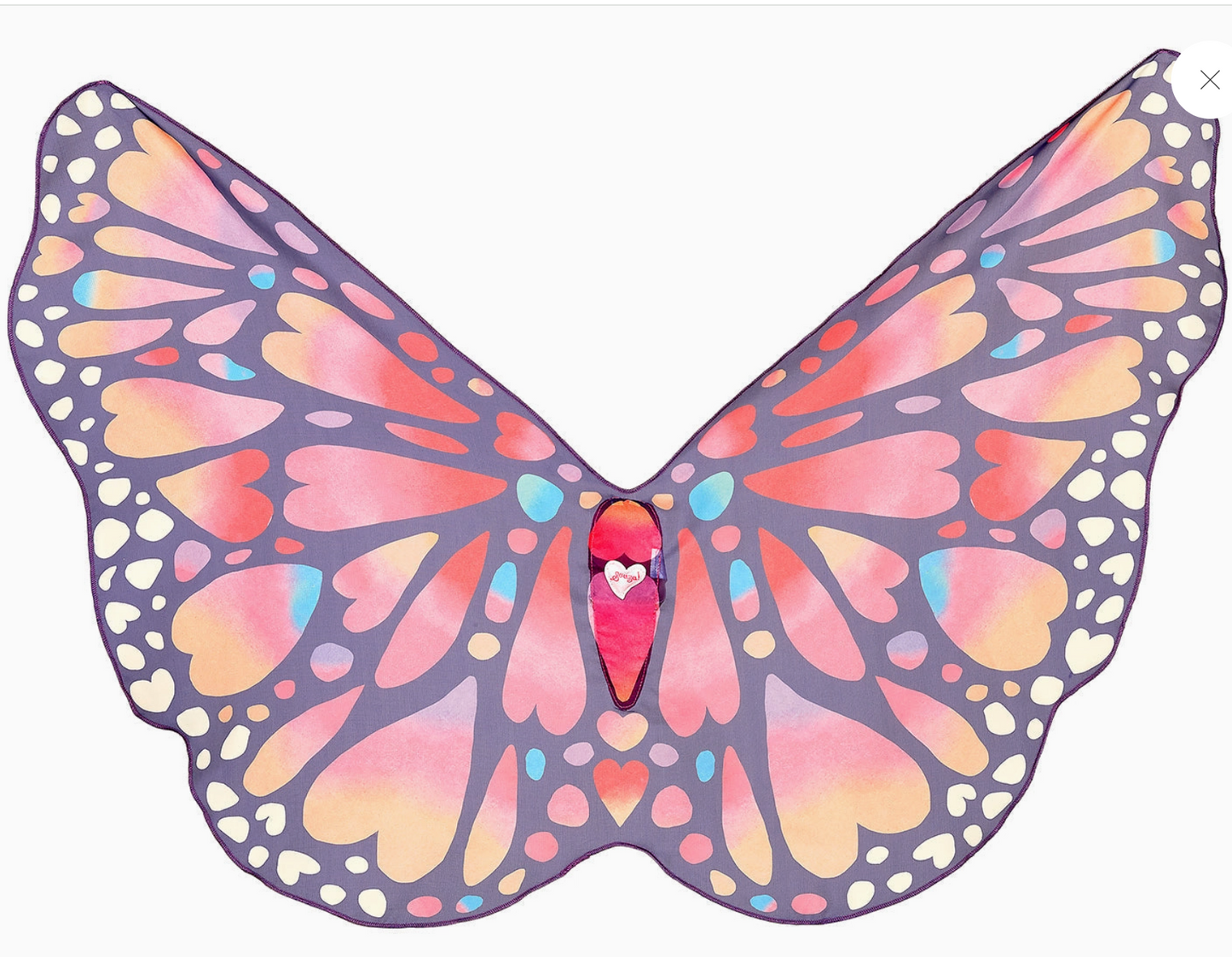 Papillon Wings- Costume Accessory for Kids
