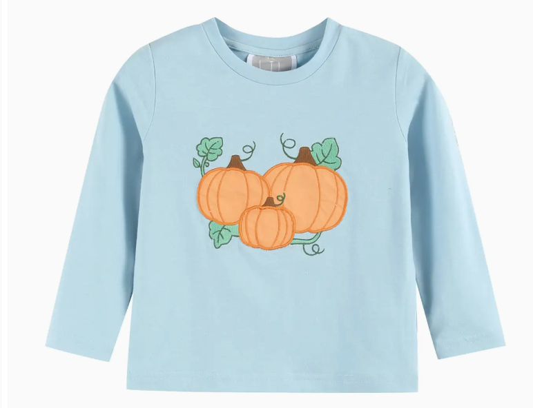 Blue Pumpkin Shirt & Brown Pants Set