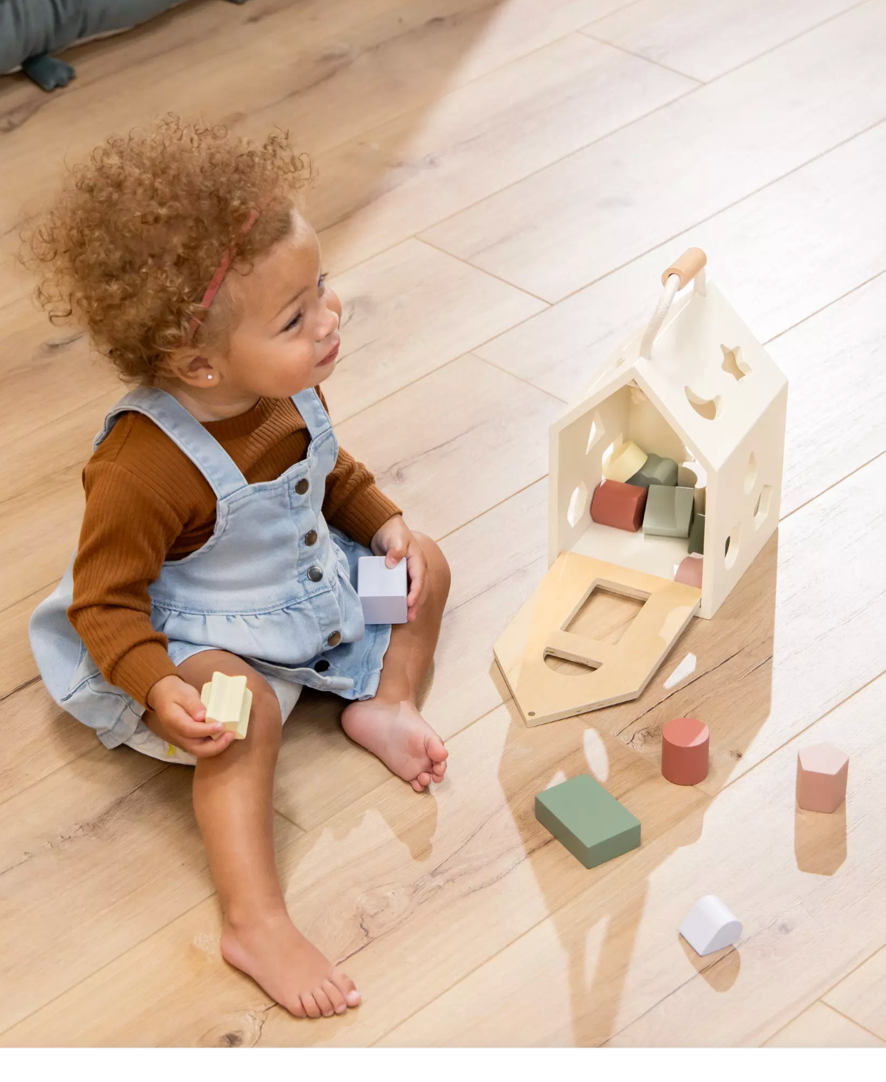 Wooden Shapes Sorting House