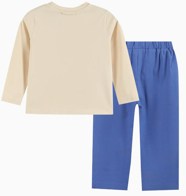 Blue Pumpkin Sunflower Smocked Shirt & Pants Set