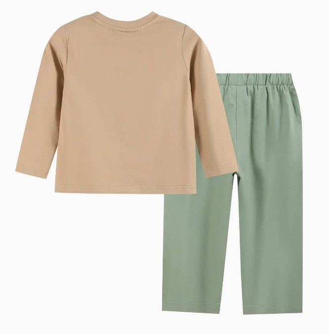 Light Brown Turkey Shirt & Sage Green Pants Set