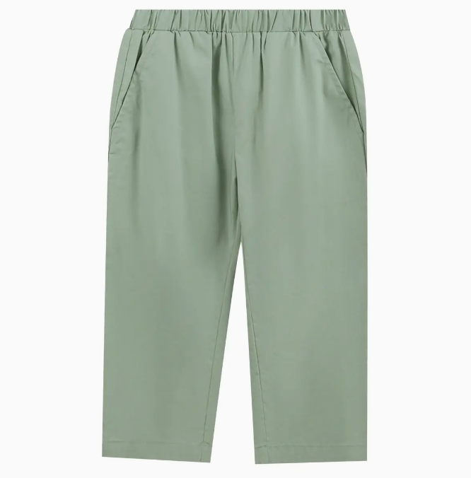 Light Brown Turkey Shirt & Sage Green Pants Set