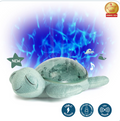 Tranquil Turtle- Green (Rechargeable)